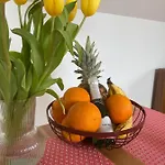 Apartma Krakovska Ljubljana