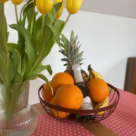 Apartment Krakovska Ljubljana