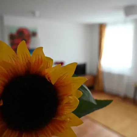 Krakovska Apartment *