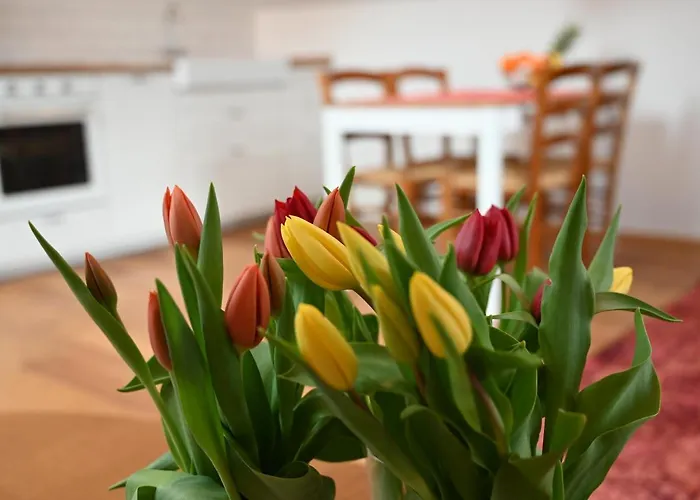 Krakovska * לובליאנה