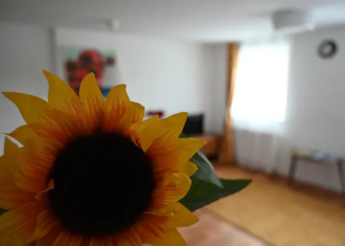 Krakovska Apartment *